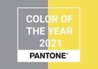 Colore Pantone 2021: un connubio di razionalità ed istinto