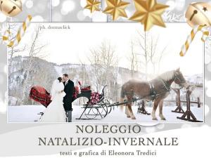 Un matrimonio a tema natalizio/invernale noleggiando una slitta!